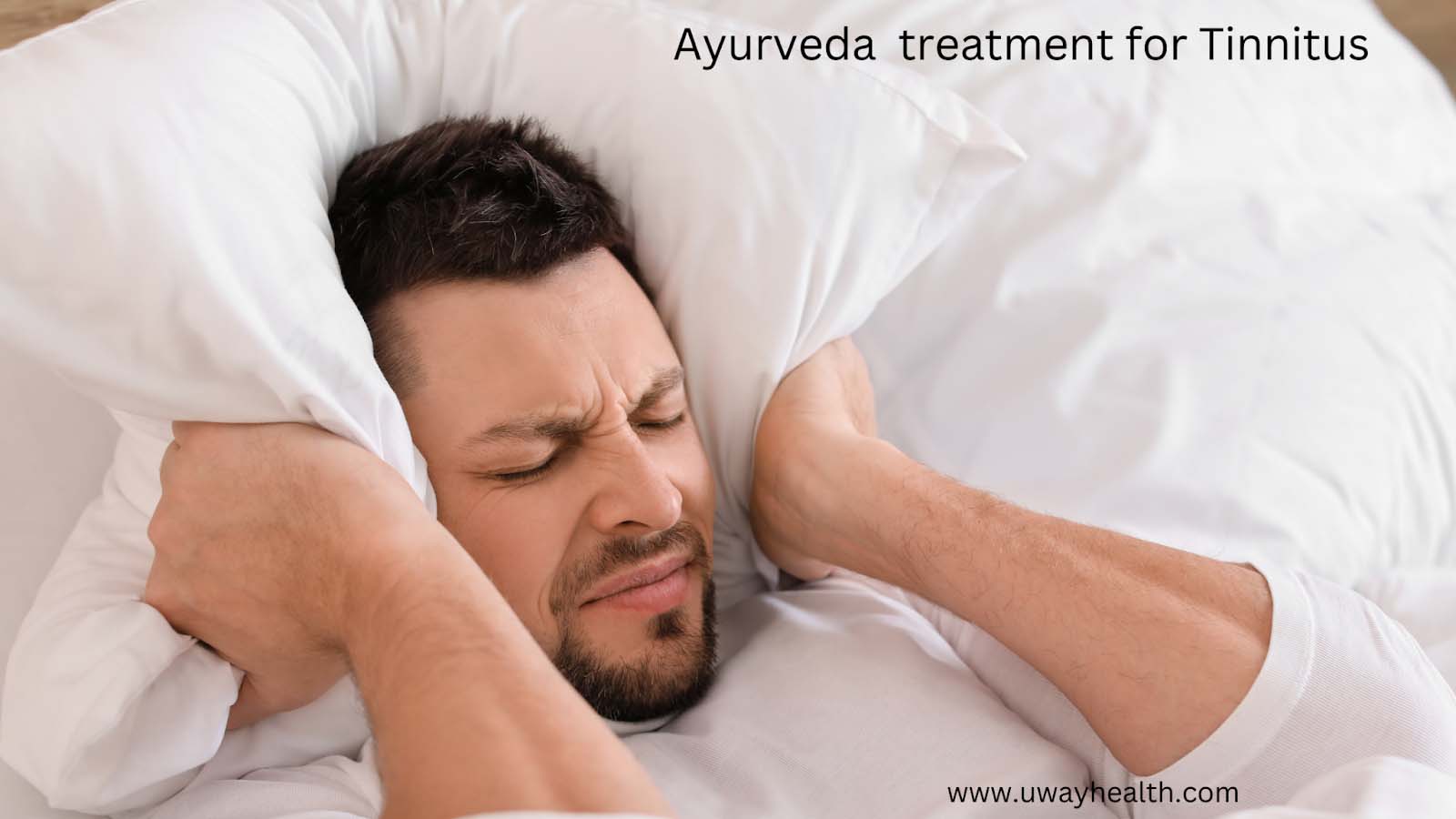 Ayurvedic Treatment for tinnitus