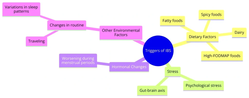 Navigating Irritable Bowel Syndrome (IBS) in the Workplace Common Triggers of IBS and Their Interplay