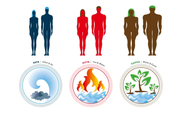 Ayurveda And Cardiovascular Health: Key Insights And Takeaways