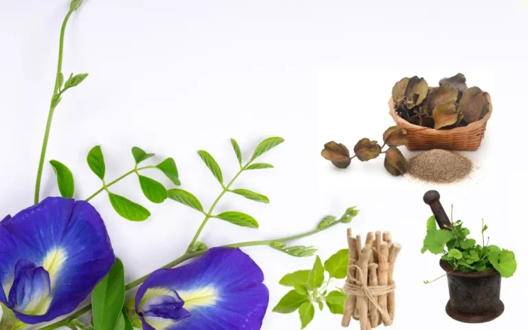 Ayurveda And Cardiovascular Health: Key Insights And Takeaways