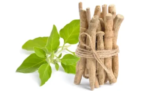 Ayurvedic Home Remedies for PCOS and PCOD: An Advice from Dr. Roopa.D Ayurvedic Home Remedies for PCOD and PCOS , Ashwagandha