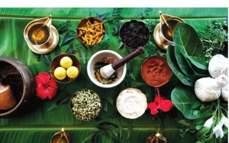 Understanding Panchakarma: A Deep Dive into Its Rising Popularity, Authenticity, and Who Should Consider It Panchakarma, why the sudden interest?