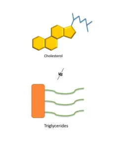 Revolutionize Your Heart Health: Dr. Kesavan Nambisan’s Proven Ayurvedic Approach to Balancing Triglycerides