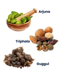 Revolutionize Your Heart Health: Dr. Kesavan Nambisan’s Proven Ayurvedic Approach to Balancing Triglycerides