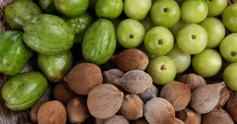 Triphala: A 2,000-Year Journey from the Forests of India to Your Medicine Cabinet Triphala, triphala benefits: A 2,000-Year Journey from the Forests of India to Your Medicine Cabinet