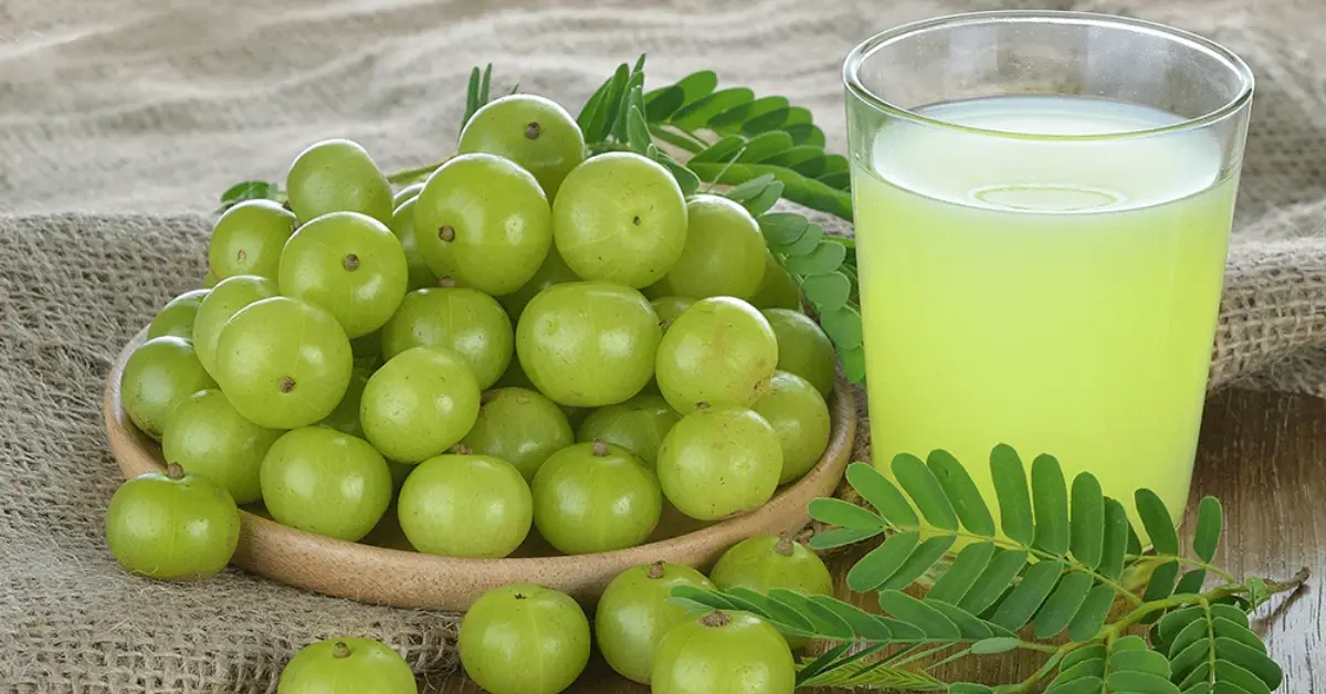 Amla Benefits, Best Ways to Consume, Dosage & Side Effects – A Doctor’s Guide