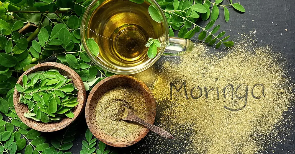 Moringa (Moringa oleifera): Benefits, Uses, Dosage & Side Effects—Everything You Must Know