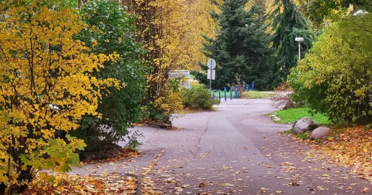 Did You Know the Pharma Industry Prepares for Autumn? So Should You