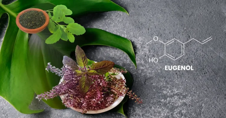 How to Prevent Cough & Cold in Monsoon | Modern Science + Ayurveda Guide