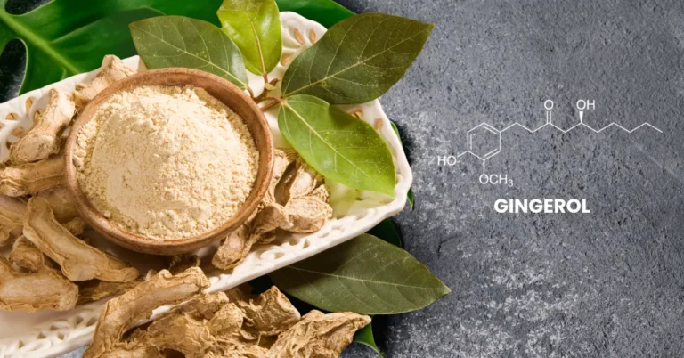 How to Prevent Cough & Cold in Monsoon | Modern Science + Ayurveda Guide