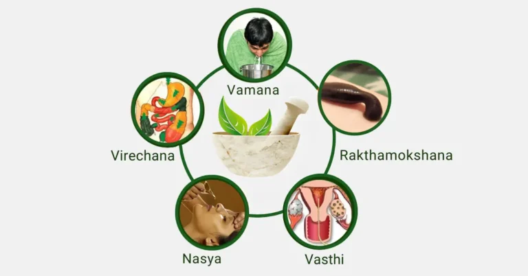 Ayurveda Detox in Bangalore – What It Really Means and When You Should (and Shouldn’t) Do It Ayurveda Detox in Bangalore – What It Really Means and When You Should (and Shouldn’t) Do It