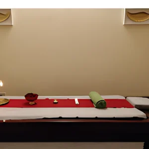Partnered clinics Ayurveda clinic in bangalore